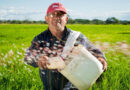US Farm Bill Lapses Again, Pausing Conservation Program Enrollment