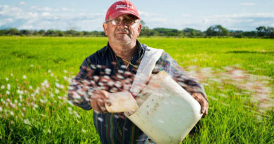 US Farm Bill Lapses Again, Pausing Conservation Program Enrollment