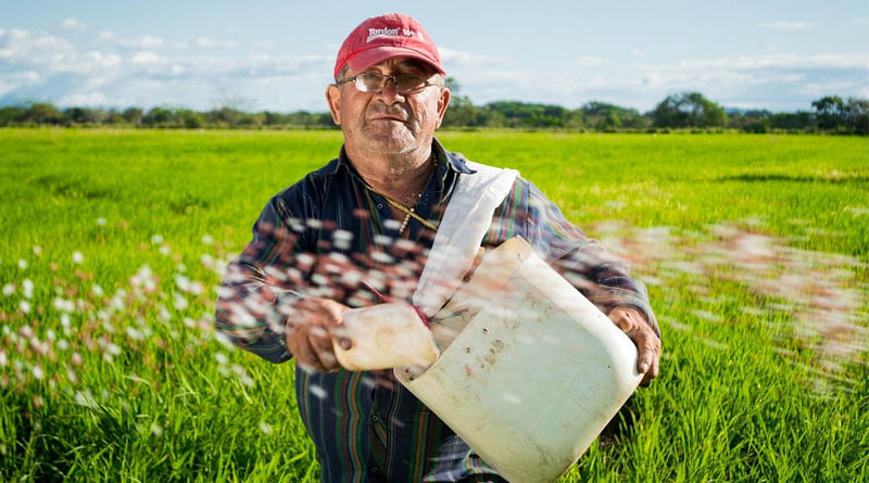 US Farm Bill Lapses Again, Pausing Conservation Program Enrollment