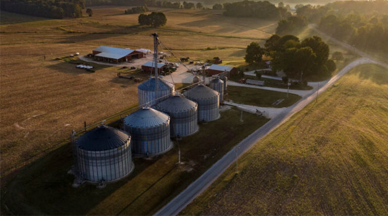 USDA Announces Record Payments of $13.8 Billion for 2025 Crop Year Revenue and Price Safety Net Programs