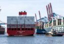 Ukraine Proposes Turkey-India-Egypt Grain Corridor as Black Sea Exports Collapse
