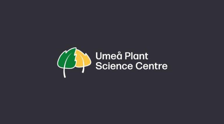 Umeå Scientists Find the Gene That Reshapes Leaf Cells Under Drought