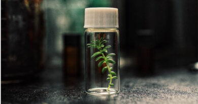 Underground Genomes and Crop Health: Reconnecting Agriculture with Soil Biodiversity Underground Genomes and Crop Health Reconnecting Agriculture with Soil Biodiversity