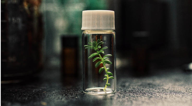 Underground Genomes and Crop Health Reconnecting Agriculture with Soil Biodiversity
