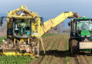 Smarter Nitrogen Management Could Cut UK Farm Carbon Footprint by 13%