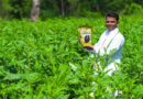 Vardaan Emerges as a Promising Nature-Based Alternative to DAP, Enhancing Soil Health