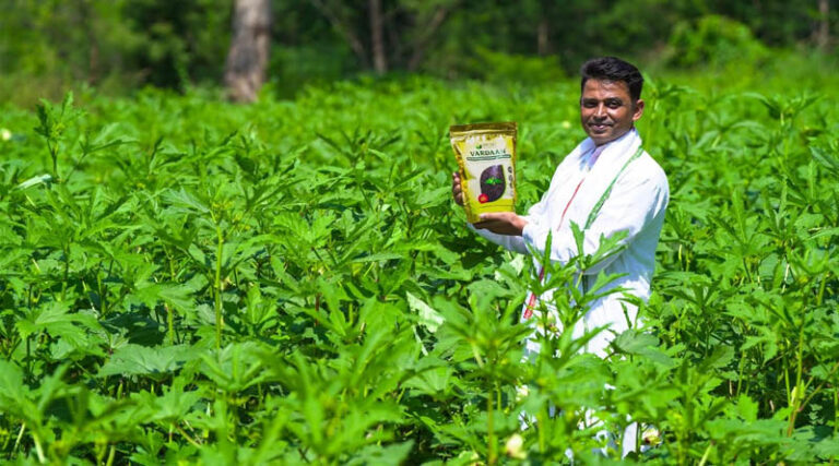 Vardaan Emerges as a Promising Nature-Based Alternative to DAP, Enhancing Soil Health