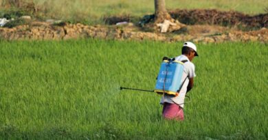 Weak Monsoon and Elevated Input Costs Set to Hit India's Agrochemical Earnings in Q2 FY27 Weak Monsoon and Elevated Input Costs Set to Hit India's Agrochemical Earnings in Q2 FY27