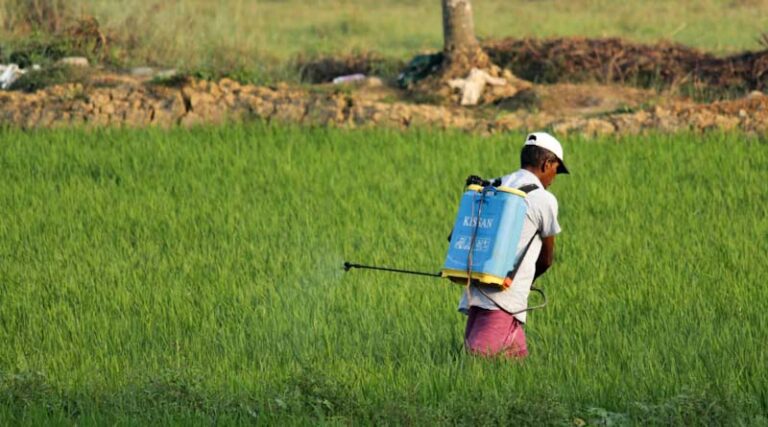 Weak Monsoon and Elevated Input Costs Set to Hit India's Agrochemical Earnings in Q2 FY27