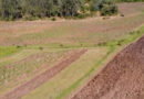 When Landscape Ambition Meets Reality What CGIAR Multifunctional Landscapes Is Taking Forward from Tropentag 2026