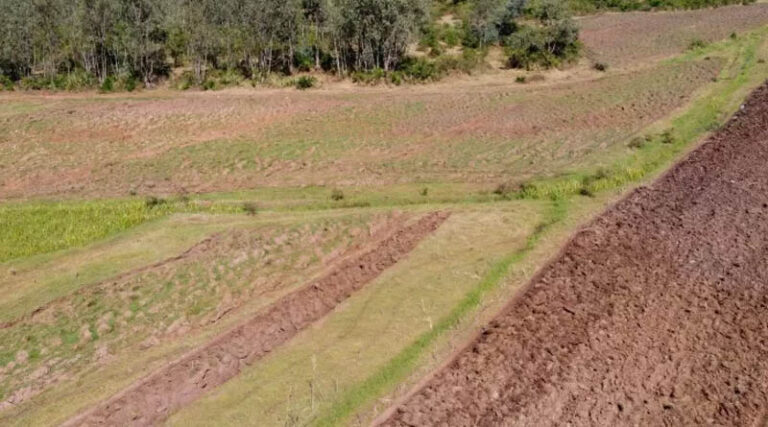 When Landscape Ambition Meets Reality What CGIAR Multifunctional Landscapes Is Taking Forward from Tropentag 2026
