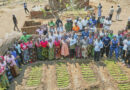 When The Soil Moves, So Must We!