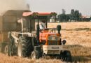 Why India Needs Digital IDs for Farmers