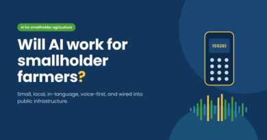 Will AI Work for Smallholder Farmers