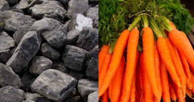 Wyoming Trial Turns Coal Byproduct Into Soil Booster for Carrots