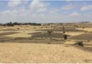 Zimbabwe's Dry Season Ahead The Solutions Already Exist