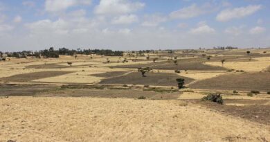Zimbabwe's Dry Season Ahead The Solutions Already Exist