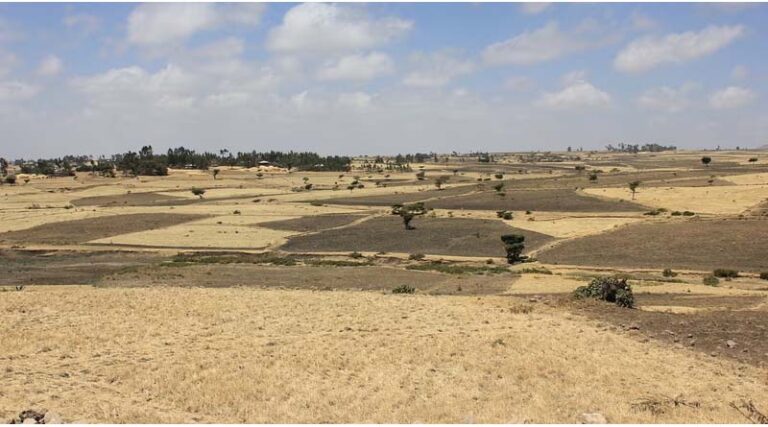 Zimbabwe's Dry Season Ahead The Solutions Already Exist